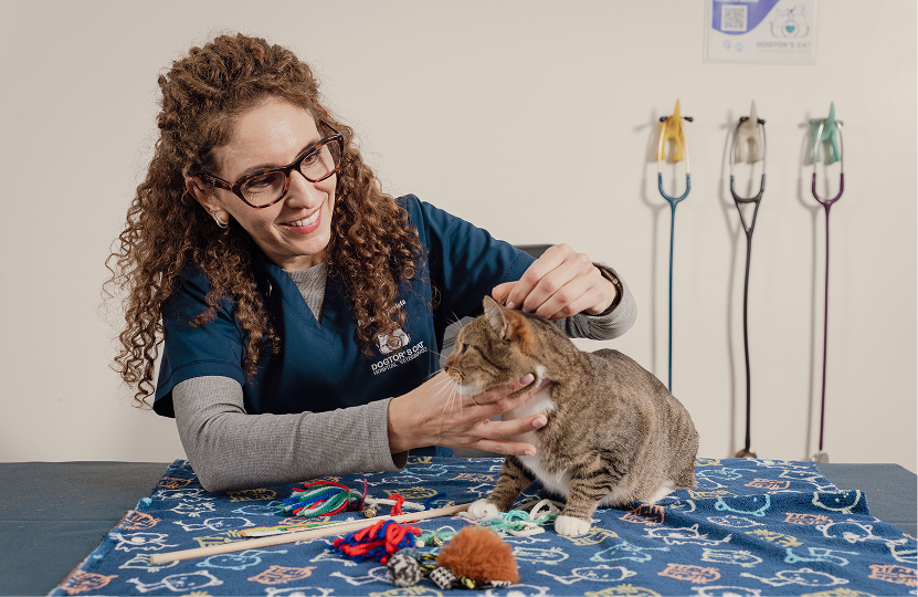 Atención veterinaria