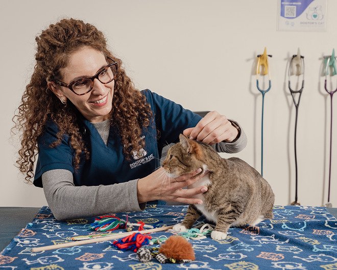 Medicina de felinos